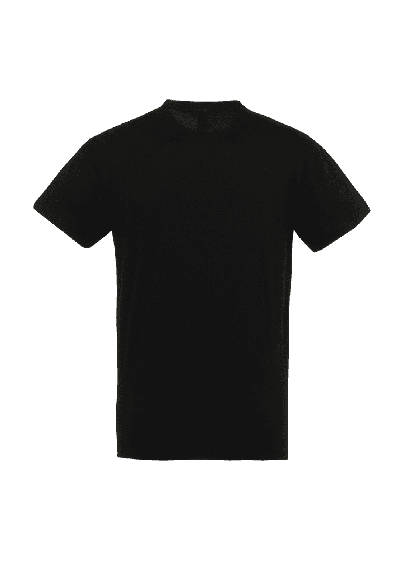 T-shirt Noir 150g Adulte 005 Academy NA39 - NA3906-REGENTNOIRDOS